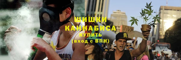 ГАЛЛЮЦИНОГЕННЫЕ ГРИБЫ Аркадак