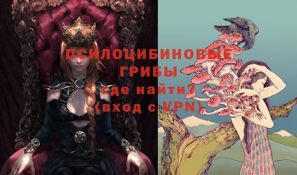 ГАЛЛЮЦИНОГЕННЫЕ ГРИБЫ Аркадак