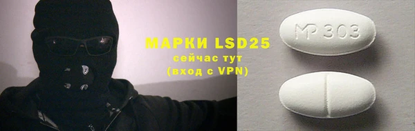ГАЛЛЮЦИНОГЕННЫЕ ГРИБЫ Аркадак